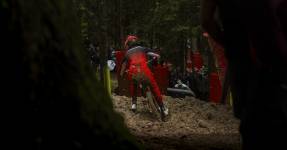 Abel BASSELET - Abel Basselet